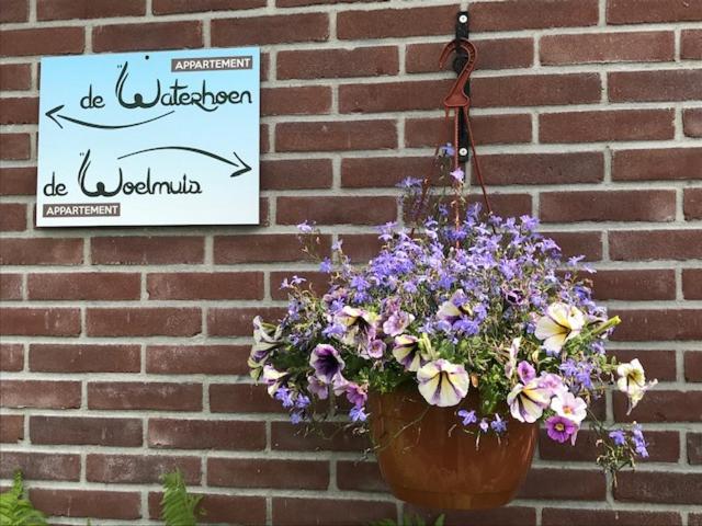 Gastenverblijf De Natureluur Noorden Exterior foto