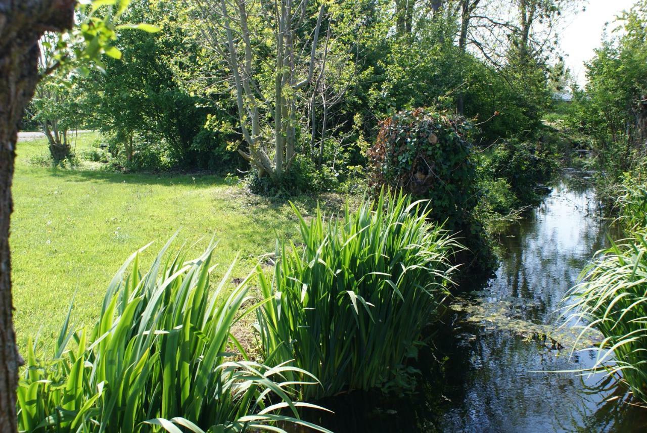 Gastenverblijf De Natureluur Noorden Exterior foto